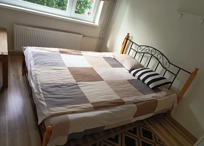 홈스테이 2 In 4 *